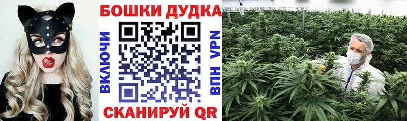 Бошки Шишки OG Kush  Балабаново 